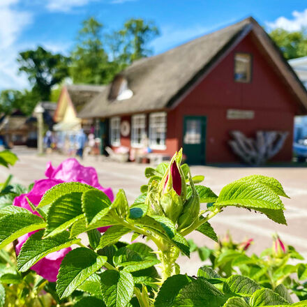 Einkaufen in Prerow